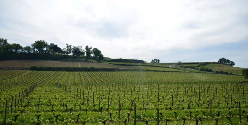 Bordeaux Mérignac: magánrepülőgép bérlés 