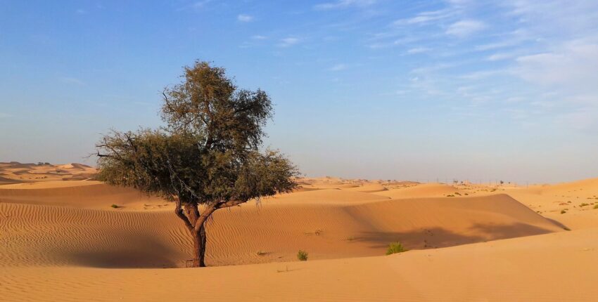 Abu Dhabi: magánrepülőgép bérlés 