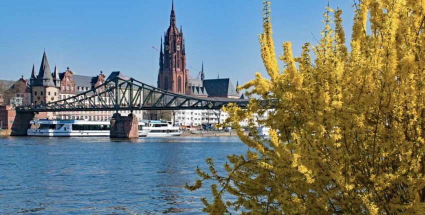 Frankfurt am Main: magánrepülőgép bérlés
