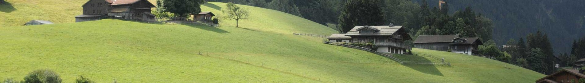 Párizs - Gstaad : magánrepülőgép bérlés 