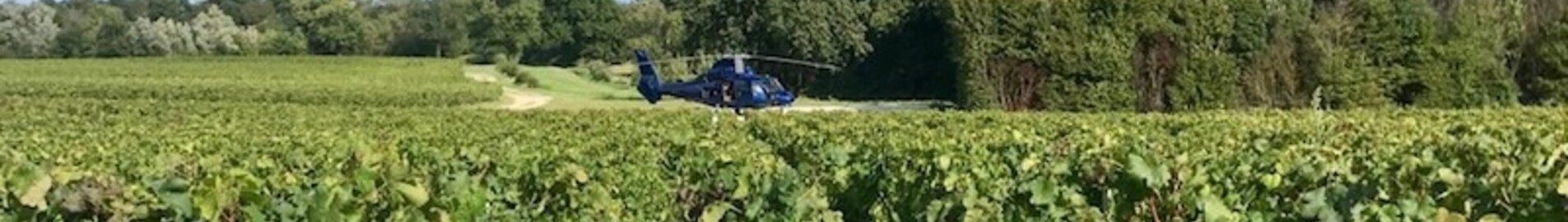 Fedezze fel a szőlőültetvényeket helikopterrel