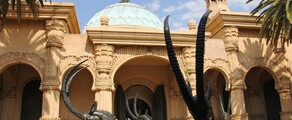 Johannesburg : magánrepülőgép bérlés 