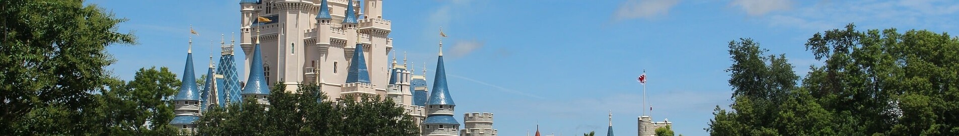 Orlando : magánrepülőgép bérlés 