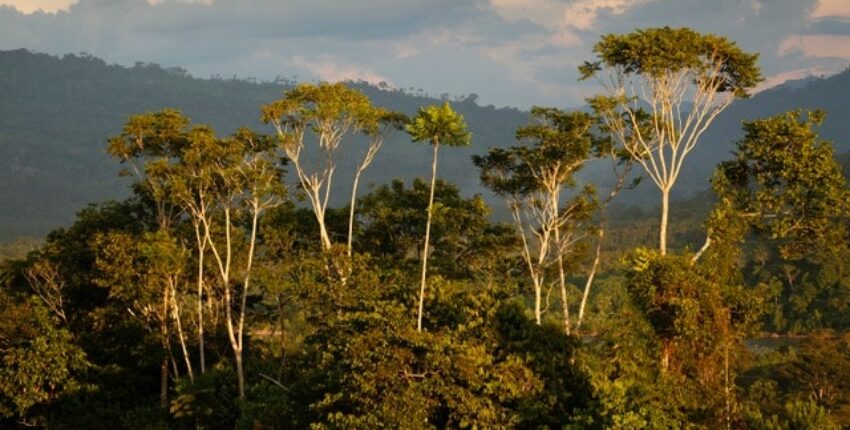 Lima : magánrepülőgép bérlés 