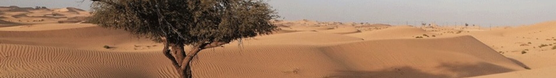 Abu Dhabi: magánrepülőgép bérlés 