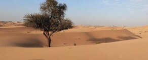Abu Dhabi: magánrepülőgép bérlés 