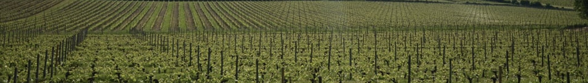 Bordeaux Mérignac: magánrepülőgép bérlés 