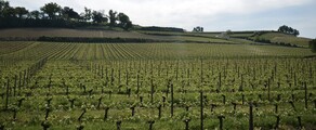 Bordeaux Mérignac: magánrepülőgép bérlés 