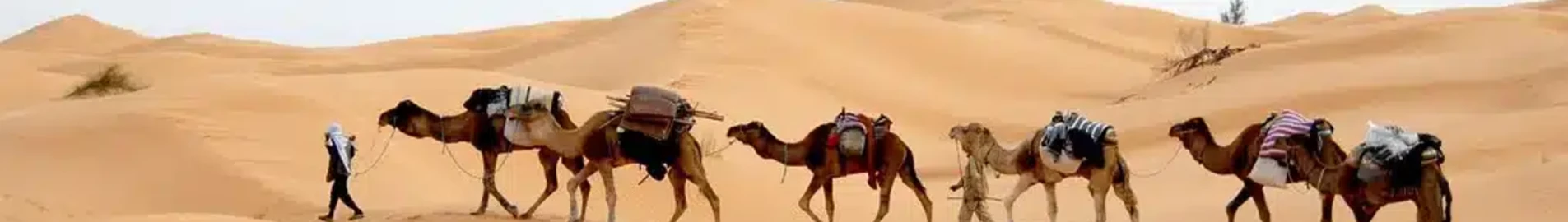 Tunisz: magánrepülőgép bérlés