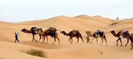 Gafsa: magánrepülőgép bérlés