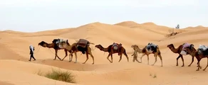 Tunisz: magánrepülőgép bérlés