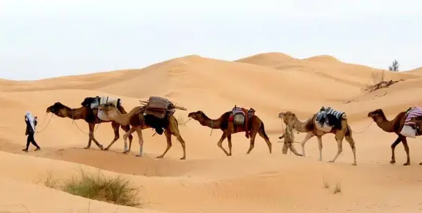 Tunisz: magánrepülőgép bérlés