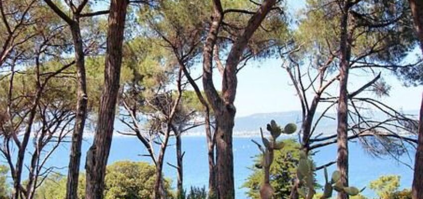 Ajaccio mer
