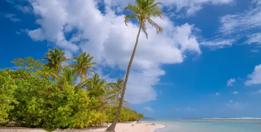 Guadeloupe: magánrepülőgép bérlés 