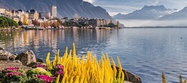 London - Zürich : magánrepülőgép bérlés 
