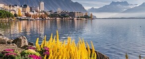 Hamburg - Genf : magánrepülőgép bérlés
