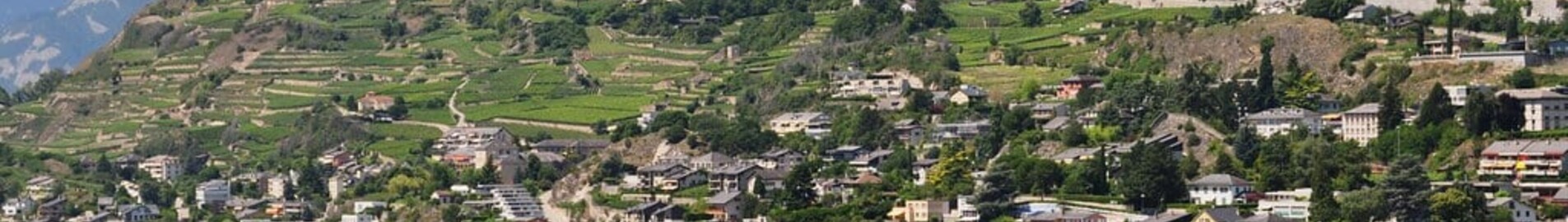 Sion : magánrepülőgép bérlés 
