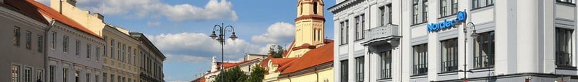 Vilnius : magánrepülőgép bérlés 