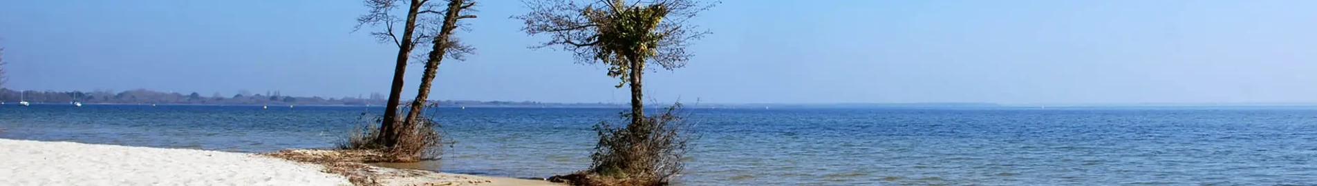 Base Aérienne Cazaux: magánrepülőgép bérlés 