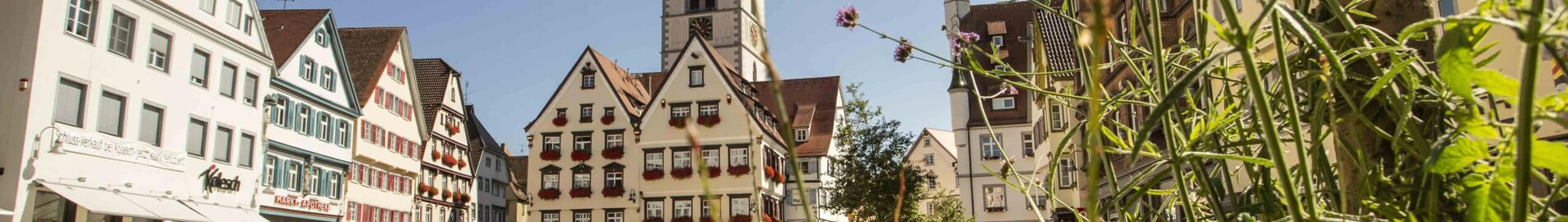 Biberach An Der Riss : magánrepülőgép bérlés 