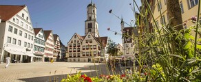 Biberach An Der Riss : magánrepülőgép bérlés 