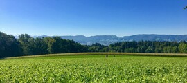 Mollis: magánrepülőgép bérlés 