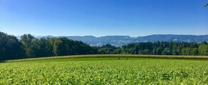Dubendorf: magánrepülőgép bérlés 