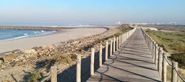 Monte Real : magánrepülőgép bérlés 