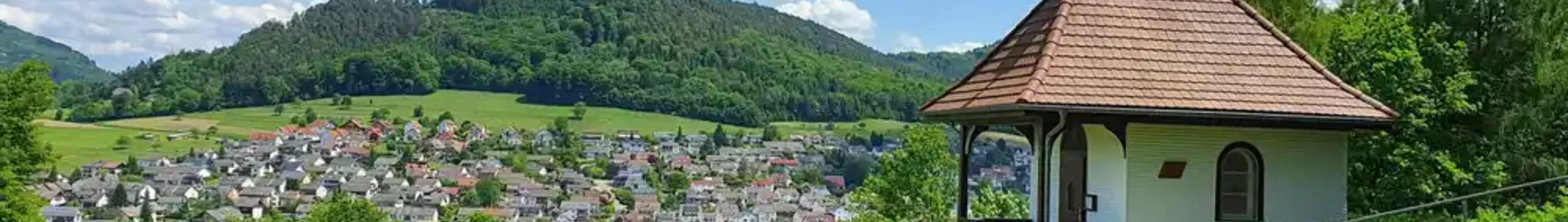 Lahr Black Forest: magánrepülőgép bérlés 