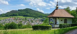 Rothenburg Gorlit : magánrepülőgép bérlés 