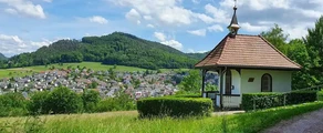 Lahr Black Forest: magánrepülőgép bérlés 
