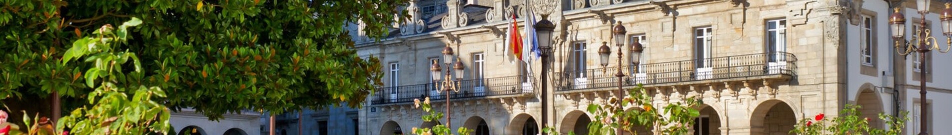 Lugo Rozas : magánrepülőgép bérlés 