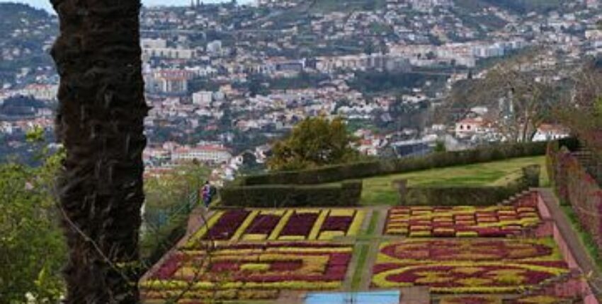 Funchal Madeira szigetén : magánrepülőgép bérlés 