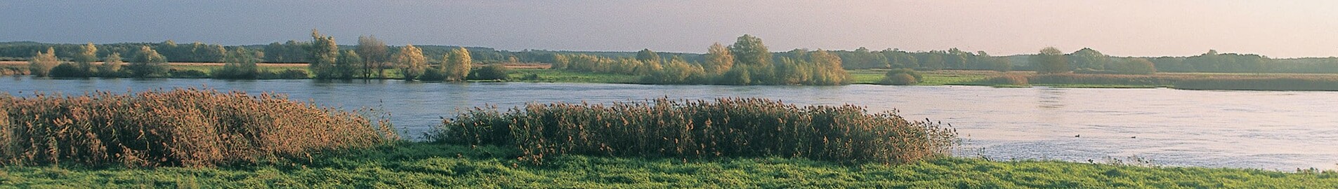 Neuhardenberg Wriezen : magánrepülőgép-helyszín 