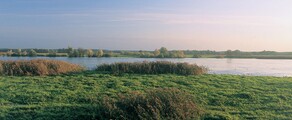 Neuhardenberg Wriezen : magánrepülőgép-helyszín 