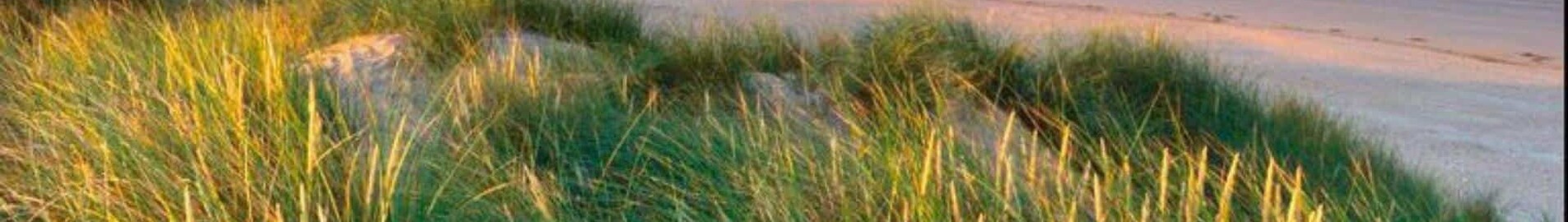 Pembrey: magánrepülőgép bérlés 