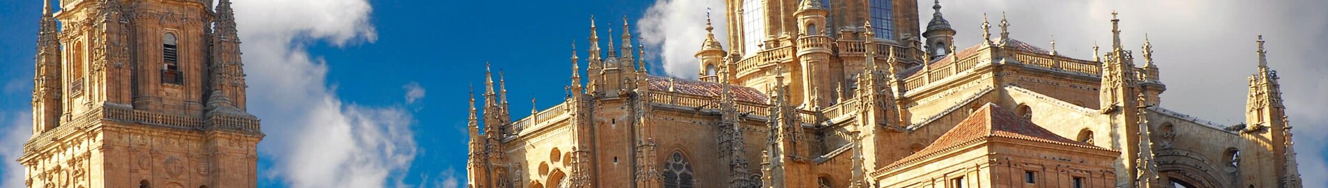 Salamanca Matacan : magánrepülőgép bérlés 