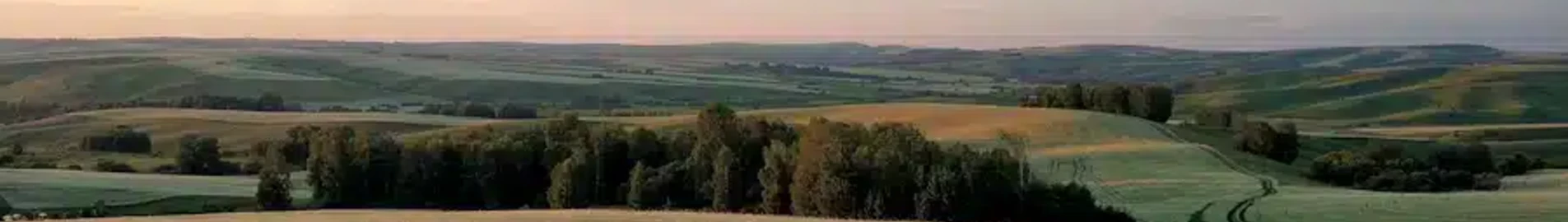 Barnaul : magánrepülőgép bérlés