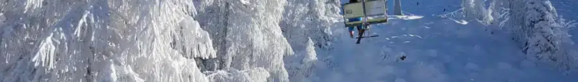 Cerklje : magánrepülőgép bérlés