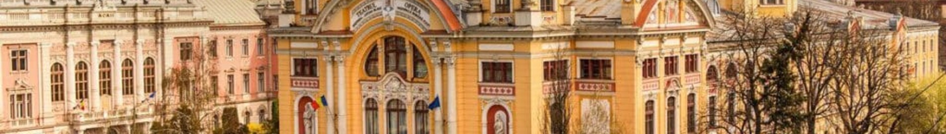 Kolozsvár : magánrepülőgép bérlés 