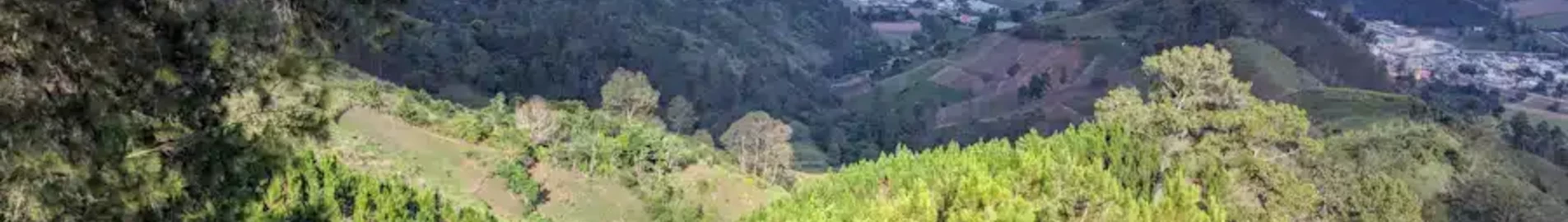 Constanza : magánrepülőgép bérlés