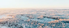 Finnország: magánrepülőgép-bérlés