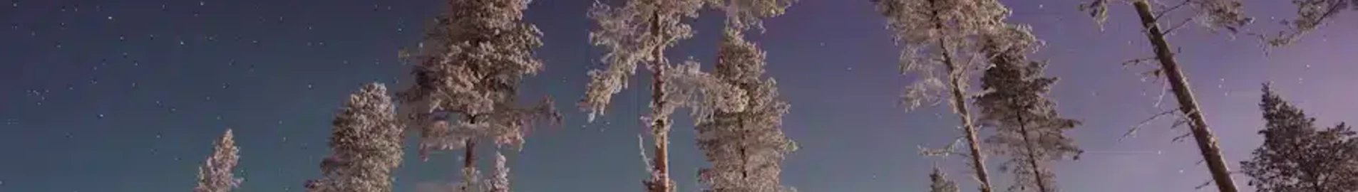 Gallivare Lapland : magánrepülőgép bérlés
