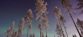 Arboga : magánrepülőgép bérlés