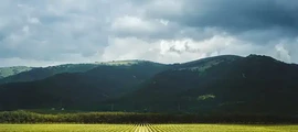 Magadan Sokol : magánrepülőgép bérlés