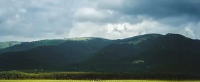 Gelendzhik : magánrepülőgép bérlés