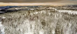 Skelleftea : magánrepülőgép bérlés