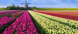 Teuge : magánrepülőgép bérlés
