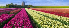 Hoogeveen : magánrepülőgép-helyszín