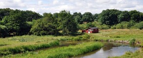 Karup: magánrepülőgép bérlés 